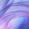 Article image for: Indian <i class="tbold">gratitude</i>