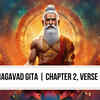 Article image for: Bhagavad Gita, Chapter 2, Verse 56: Krishna explains who is the sage of steady wisdom
