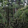 Selective Pruning for Quality