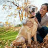 Paw-ternity leave