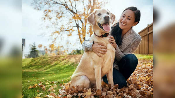 Paw-ternity leave