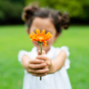 ​Learn resilience and adaptability from Japanese​