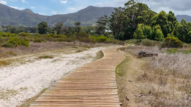 South Africa: Discover spectacular forests of The Rainbow Nation