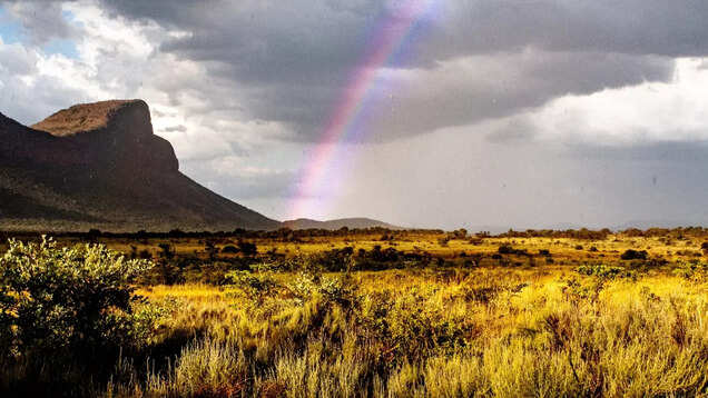 South Africa: Discover spectacular forests of The Rainbow Nation