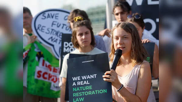 The power of collective action