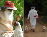 Rare pictures of Sadhguru display his love for animals