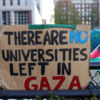 ​What are the protesters advocating for?
