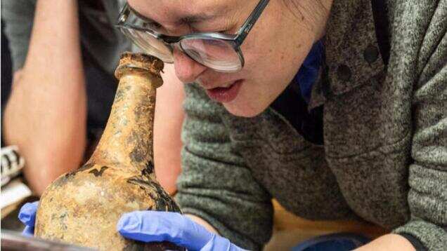 250-year-old cherries found buried beneath George Washington&rsquo;s Mount Vernon home