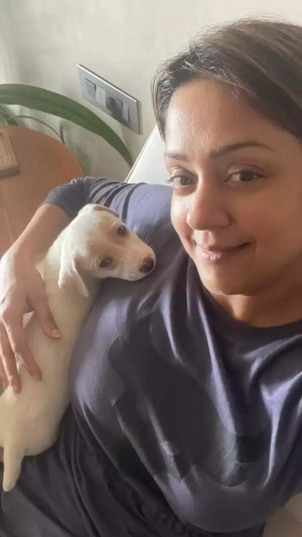 Jyotika