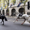 Article image for: <i class="tbold">mayhem</i> in central london