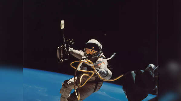 Space's immune system secrets revealed
