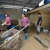 Summer floods return to test Guangdong's resilience