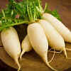 Radish