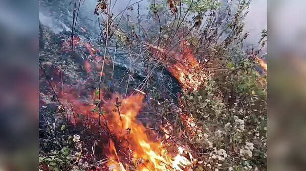 Nainital district magistrate imposes new ban
