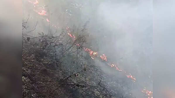 Why wildfires raging in Uttarakhand
