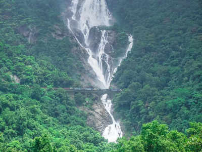 India Highest Waterfalls: Exploring India's spectacular top 10 highest waterfalls | Times of India Travel