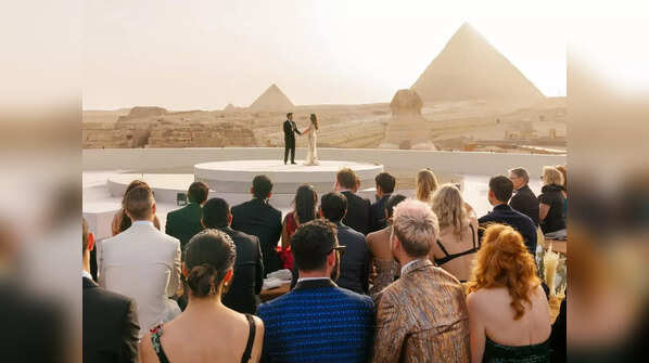 The wedding highlights