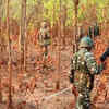 <strong>Additional forces deployed to track down</strong>