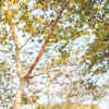 Article image for: Self-awareness