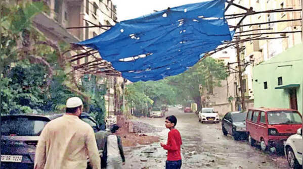 Tree felling and waterlogging
