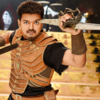 Puli