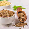 Hemp Seeds