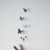 Article image for: <i class="tbold">letting go</i>