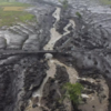 Government response