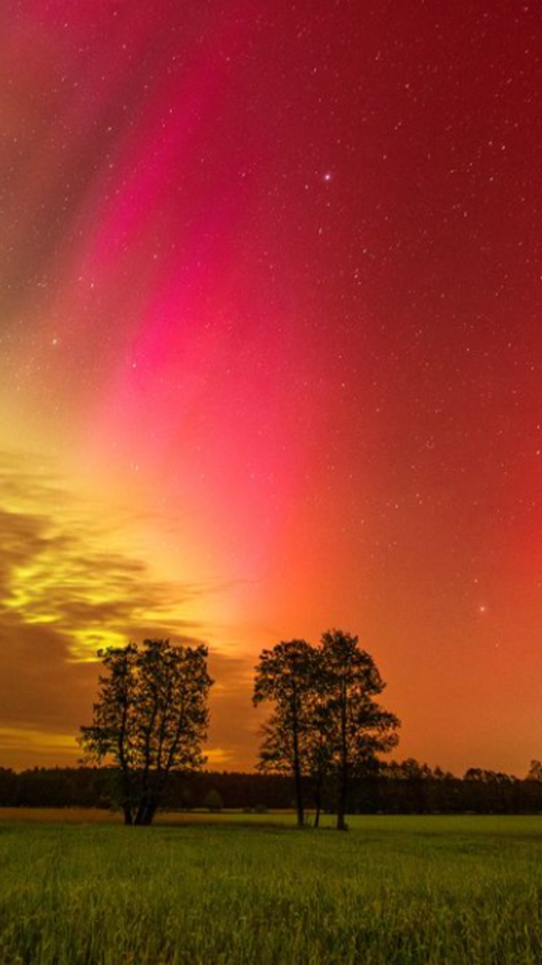 Aurora