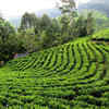 Assam