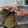 Haryana faces heatwave