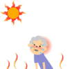 Article image for: What is a <i class="tbold">heat stroke</i>?