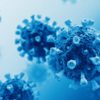 ​Is it more infectious than its ancestor variants?​