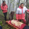 ​Iranian Red Crescent recovered bodies​
