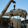 Western statements prompt drills