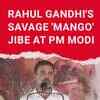 Article image for: Rahul mocks Akshay Kumar, 'Modi-friendly' media for posing 'Mango' questions to PM
