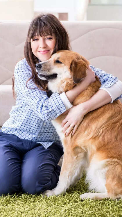 10 superfoods for dogs