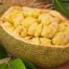 ​Jackfruit​