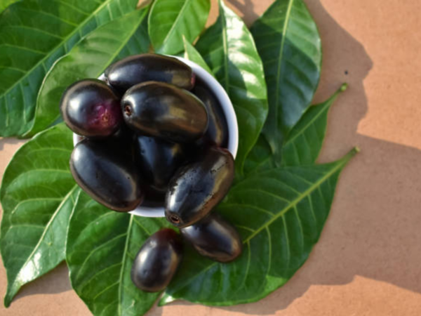 Jamun