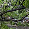 Roofs ripped off and trees uprooted