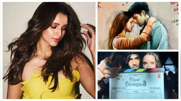 Siddhant Chaturvedi's 'Dhadak 2':, Kartik Aaryan's 'Bhool Bhulaiyaa 3', Ranbir Kapoor's 'Animal Park': Stellar line-up of Triptii Dimri