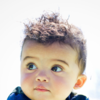 Article image for: <i class="tbold">Havish</i>
