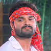 Article image for: <i class="tbold">bhojpuri</i> cinema sensation