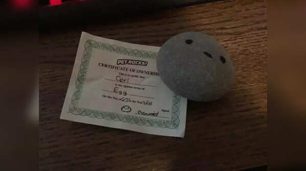 The Pet Rock