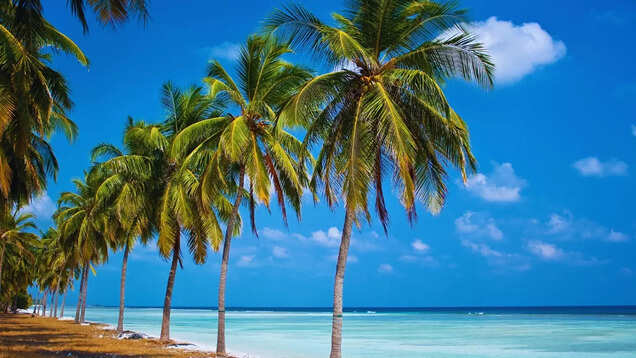 Indian states that are famous for their beaches
