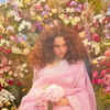 Article image for: Spring