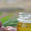 Article image for: Onion hair oil