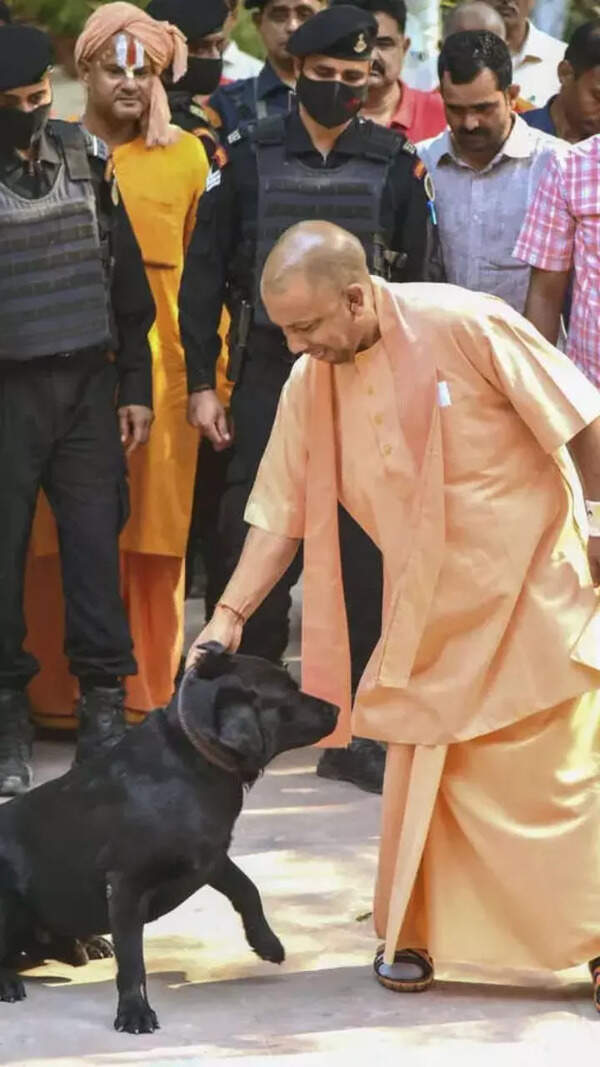Yogi_