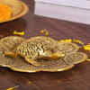 Article image for: <i class="tbold">tortoise</i>