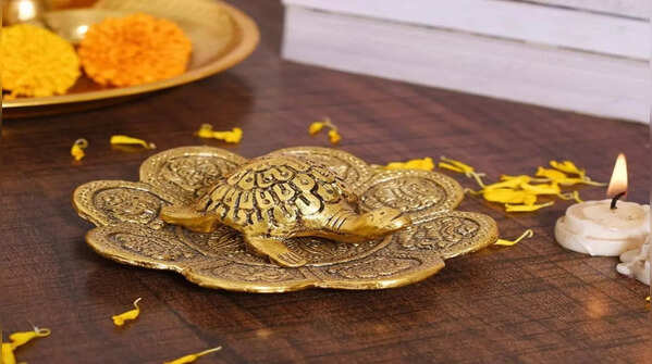 Tortoise